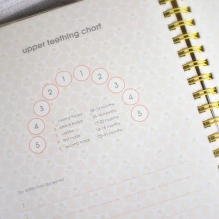 Baby Journal
