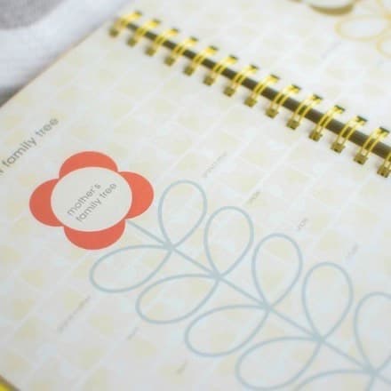 Baby Journal
